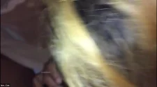 Hd HQ Porno / Hintli hatuna büyük zenci penisi