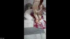 Türk Türkçe Porno / Kucagında kadını at gibi zıplatan talha