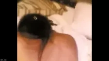 Türk Türkçe Porno / Evde özçekim porno türk sikiş