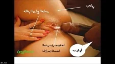 Türk Türkçe Porno / Güzel türbanlı nuranı kocası sikemiyor aşıgına veriyor
