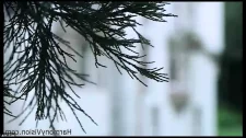 Amatör Porno / İskoçyalı pornosu,iskoç porno sex