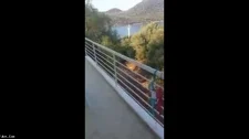 Türk Türkçe Porno / Eski karım didemi sikmişler jartiyeli sikiş