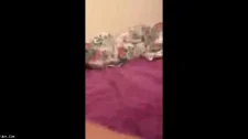 Türk Türkçe Porno / Gençlerden sakso denemesi