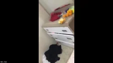 Türk Türkçe Porno / Komidine dayayıp sikti güzel kızı