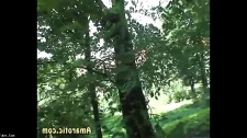 Sarışın Porno / Paran varsa istediğin her şeyi elde edebilirsin bu hayatta