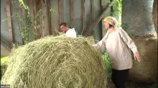 Amatör Porno / Götümü yaktın hayvan boşal artık diyor