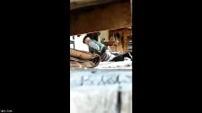 Türk Türkçe Porno / 70lik köylü dedemin sikine kuvvet