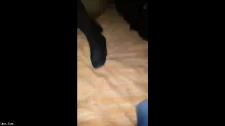 Türk Türkçe Porno / Mutfakta türk matureye denk getirip sapladı