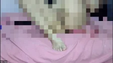 Türk Türkçe Porno / Sucuya kapıyı çıplak açan kızı bigün sikerler