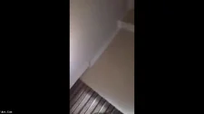 Türk Türkçe Porno / Her Türk Fantezinin Dibine Vurabilir, Yalnızlığını Unutabilirsin
