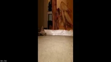 Türk Türkçe Porno / Swingers türk porno topluluğuna davet ediyoruz sizleri