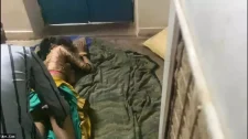 Amatör Porno / Hanimiş abisinin gülü bak sana şıngırak aldım