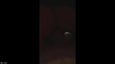 Türk Türkçe Porno / Sikişmek lazım genç kalmak için