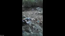 Türk Türkçe Porno / Kemal dağlarında olgunu fena sikmişler