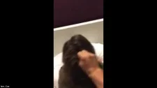 Türk Türkçe Porno / Sikme ve sikişme hakkı olan utangaç kadin miyase azgın çıktı