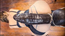 Anal Porno / At yarrağını beline dolayan süper sürtükler