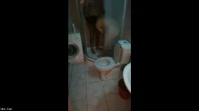 Türk Türkçe Porno / Anlayışlı biricik eşim bana sikici bulmuş harika