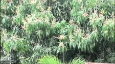 Hd HQ Porno / Patronlar her ırktan sekreter sikmeye programlanmışlar