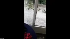 Türk Türkçe Porno / Amın kokusunu alan adam kızı yalamadan bırakmadı