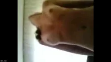 Türk Türkçe Porno / Komşucum lütfen insan gibi sikermisin beni