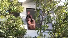 Anal Porno / Ukraynalı koko amaris ağırlıklı anal çalışması