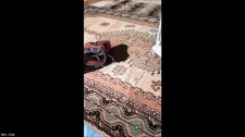 Türk Türkçe Porno / Sporcu Türk kızı bakire diye götten sikiyor pembe am