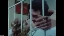 Anal Porno / Seda sayan kızlık bozdurma videosu